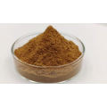 Polysaccharide 50% Siberian Organic Chaga Mushroom Extract Powder Chaga Extract